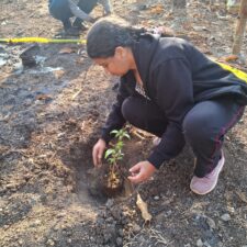 Nature conservation at Sipna