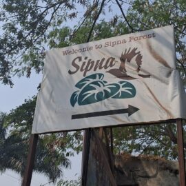 sipna1
